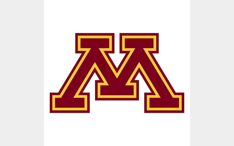 Gophers